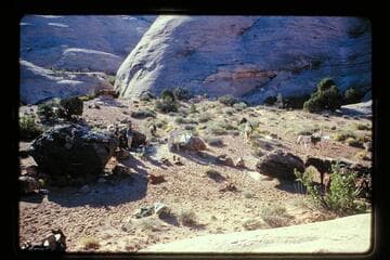 Camp in basin north of Sid Whiskers Butte