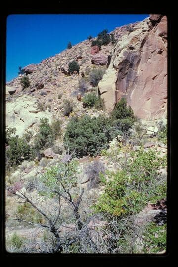 Trail down into Yellow Water Creek
