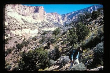 Climbing out Yellow Water Creek