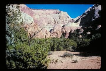 Upper basin; Surprise Valley