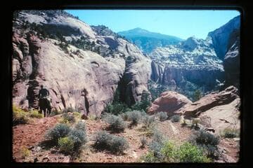 Rim above Bald Rock Creek, right bank trail