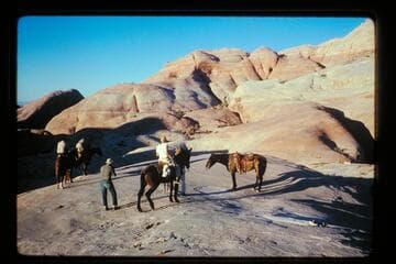 Photograph on trail north of Black Water Creek