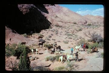 Dead Center Camp west of Nasja Creek