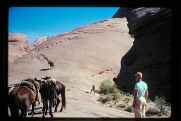 Slick Rock Trail north from 71.5