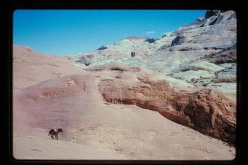 Ballard's horse doesn't like trail north of Sid Whiskers Butte