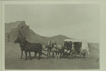 Charles Gibbons album. Eagle stage? Charles Gibbons' white-topped buggy near Billy Hay Ledge about 3 miles south of Hanksville, Utah