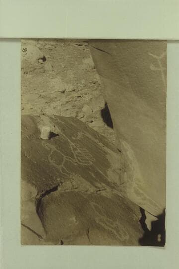 RB-MV photo captioned: ??? Where? There are petroglyphs on large boulders--right bank--about 1/2 mile above Rock Creek. Approximately Mile 56