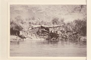 Drift log perched on the wreck of the Hoskanini Dredge