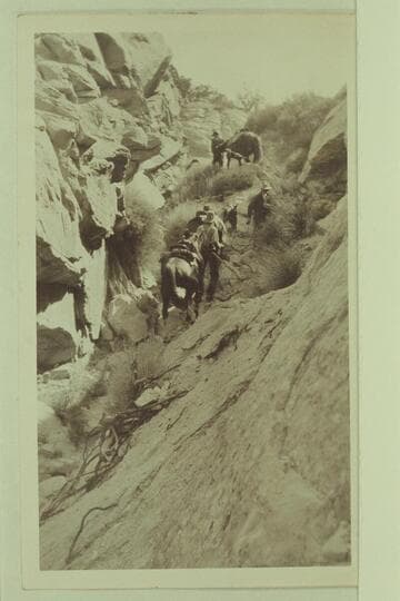 Trail to Rainbow Bridge; Roosevelt-Wetherill party