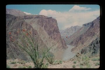 Up river from down river side of Travertine Creek