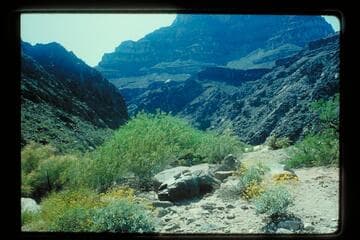 Plane over Diamond Creek
