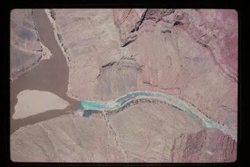 Mouth of the Little Colorado