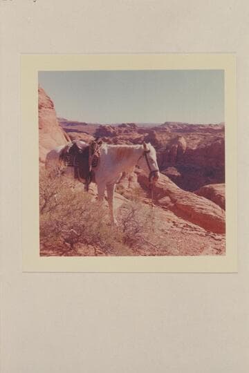 Across the mouth of Nasja Creek. The anticline at the left is at the area near the mouth of Cha Canyon. The flat butte at upper right is beyond the mouth of Cha Canyon