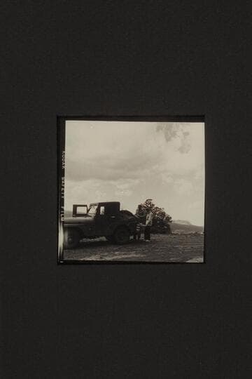 [3 images, 2 1/4x2 1/4, no description]