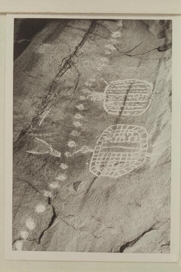 Indian paintings near the break-thru in the meander on Salt Creek.  Indian Creek Basin