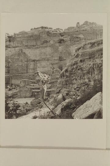 Mushroom and arches in Pegasus Canyon. The arches high on the cliff are probably stream cut and might be classified as bridges