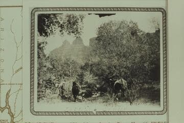 John Nelson's stock in Spencer Canyon during the trip to bring James Brooks and the Kolb bros. from the river after they had recovered the belongings of the Hyde couple
