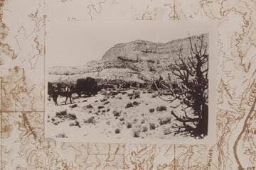 Head of Teapot Canyon. Bill Racy mounted on Captain