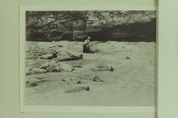 Lining of the Kolb boats at Lower Disaster Falls.  Extreme low water