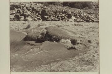 Wave at head of Vulcan Rapid