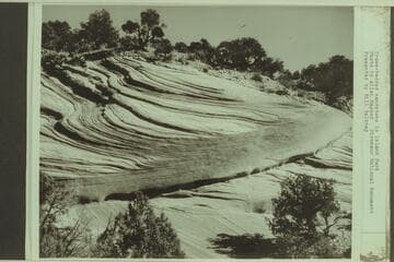 Cross-bedded sandstone in Island Park. Dinosaur National Monument