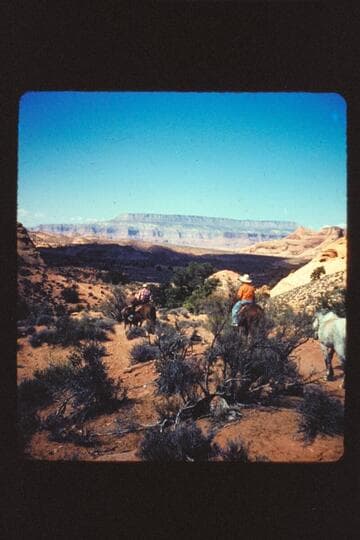 Dock starting on Rainbow Trail