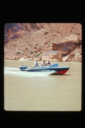 Rattle Snake in Glen Canyon
