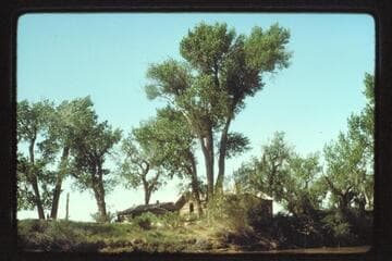 Robidoux inscription, Ekker grave, Embark to below San Rafael, 1975
