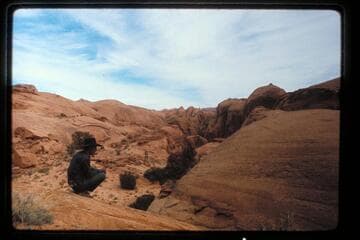 Tobe Owl watches repairs to Tom's horse