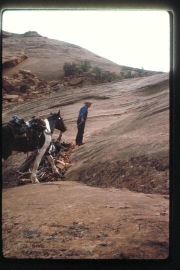Slickrock Trail west of Nasja Creek