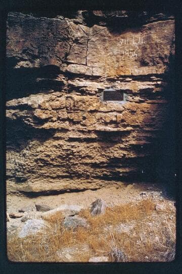 Willie's grave [Wilson Beigle Taylor]