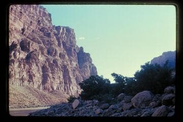Upstream from opposite Calf Canyon, Mile 202.8