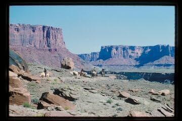 Stock moving up Horsethief Canyon