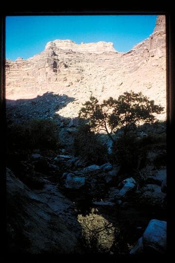Trail down into Horsethief Canyon