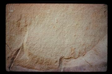 Inscriptions, San Juan River