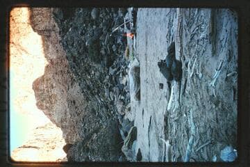 Bfst. starts camp at Mile 209.6