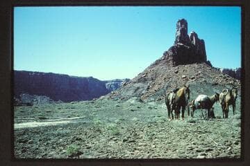 Butte at upper side, mouth of Horsethief Canyon