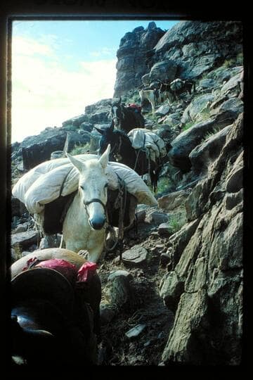 Down into Horsethief Canyon
