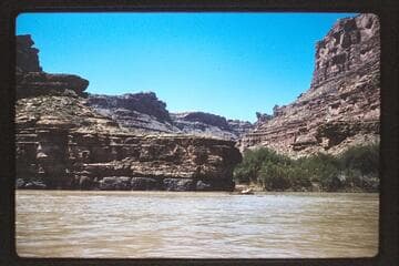 Mile 4.5, right bank