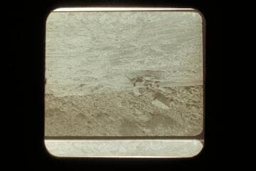 President Harding Rapid