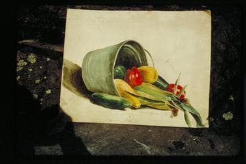 Still life by F. Holmstrom