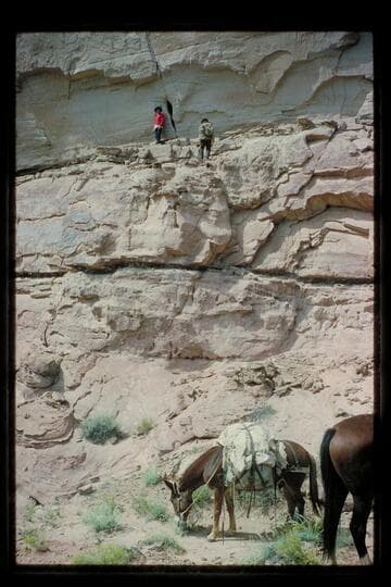 Paintings; Horseshoe Canyon