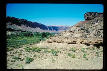 Up in Labyrinth Canyon