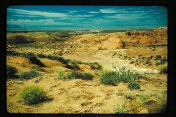 Head of Roost Canyon from rim