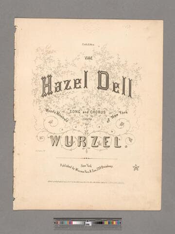 The hazel dell : song and chorus / sung by Wood's Minstrels of New York ; by Wurzel