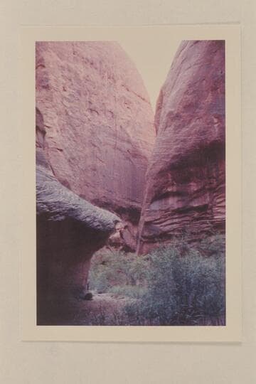 Down Anasazi Canyon from fall above joint