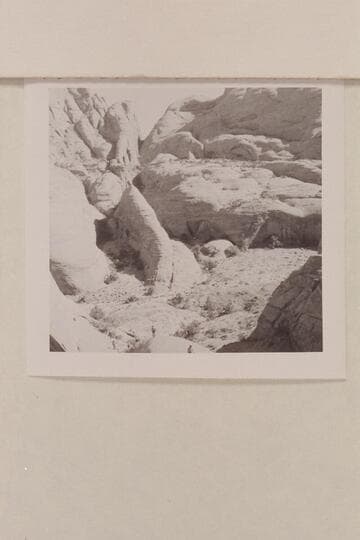 View into middle fork of 73 from trail into southwest fork. The cave at right was located as one of the prehistoric sites