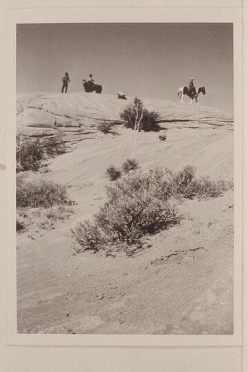 Bald rock east of Lehi Fork of Anasazi Canyon