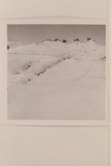 Teeth along the crest of the upper end of 5014