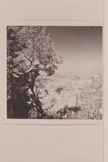 Rainbow Bridge from top of Navajo Mountain